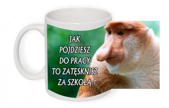 jak pojdziesz do pracy to zatesknisz za szkola