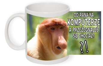 od rana na komputerze