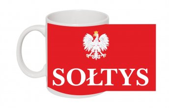 25sołtys